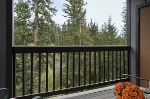 10000 Ryan Gulch Rd, Silverthorne, CO 80498 - Photo 19