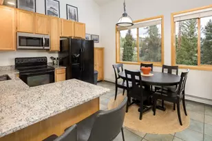 10000 Ryan Gulch Rd, Silverthorne, CO 80498 - Photo 5