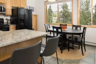 10000 Ryan Gulch Rd, Silverthorne, CO 80498 - Photo 17