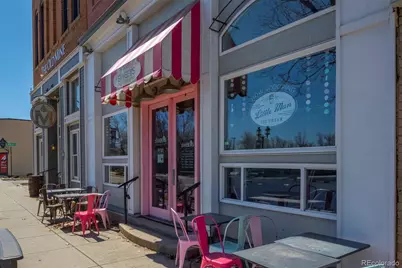 650 Smoky Hills Lane, Erie, CO 80516 - Photo 49