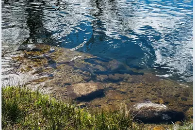 17430 Reserve Drive, Buena Vista, CO 81211 - Photo 15