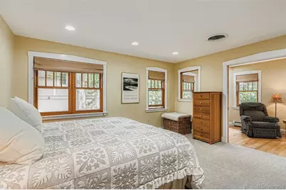 510 S Race Street, Denver, CO 80209 - Photo 21