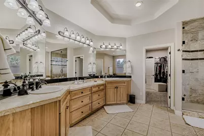 5213 Pinyon Jay Road, Parker, CO 80134 - Photo 21