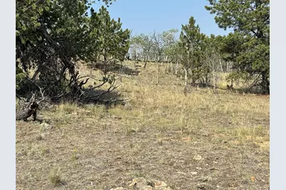 250 Pinto Trail, Como, CO 80432 - Photo 13