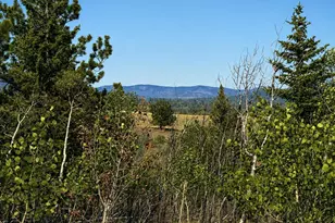 250 Pinto Trail, Como, CO 80432 - Photo 1