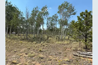 250 Pinto Trail, Como, CO 80432 - Photo 7