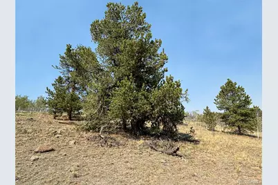 250 Pinto Trail, Como, CO 80432 - Photo 25
