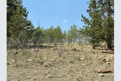 250 Pinto Trail, Como, CO 80432 - Photo 15