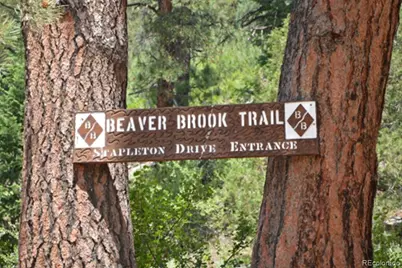 25997 Mountain View Road, Golden, CO 80226 - Photo 21