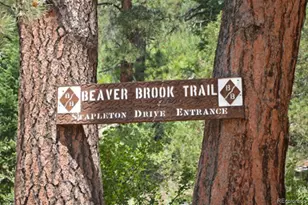 25997 Mountain View Rd, Golden, CO 80226 - Photo 21