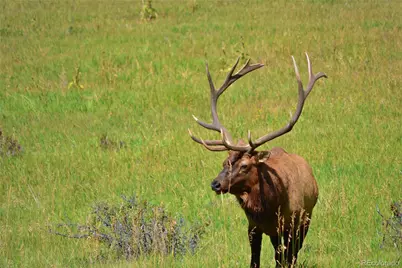 25997 Mountain View Road, Golden, CO 80226 - Photo 21