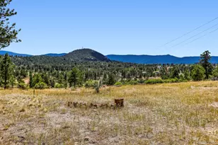 1006 Co Rd 72, Bailey, CO 80421 - Photo 33