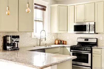 3253 N Columbine Street, Denver, CO 80205 - Photo 19