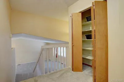 162 Tilbury Avenue, Castle Rock, CO 80104 - Photo 13