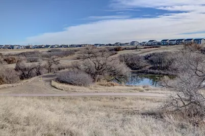 162 Tilbury Avenue, Castle Rock, CO 80104 - Photo 3