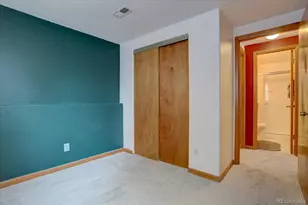 162 Tilbury Ave, Castle Rock, CO 80104 - Photo 19