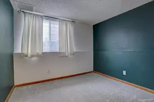 162 Tilbury Ave, Castle Rock, CO 80104 - Photo 19