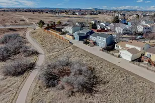 162 Tilbury Ave, Castle Rock, CO 80104 - Photo 21