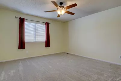 162 Tilbury Avenue, Castle Rock, CO 80104 - Photo 13