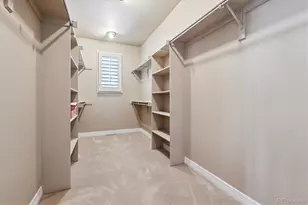 72 Falcon Hills Dr, Highlands Ranch, CO 80126 - Photo 37