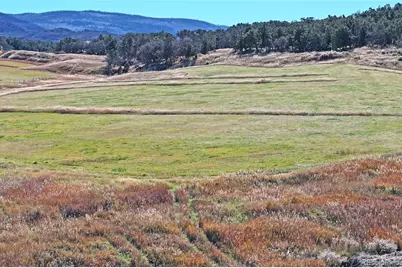 10497 54 7/10 Road, Molina, CO 81646 - Photo 43