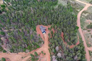 100 Wildcat Creek Dr, Florissant, CO 80816 - Photo 43