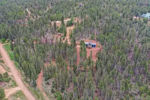 100 Wildcat Creek Dr, Florissant, CO 80816 - Photo 39