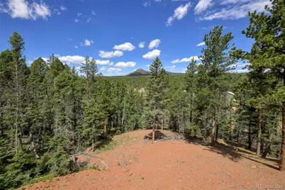 100 Wildcat Creek Drive, Florissant, CO 80816 - Photo 3