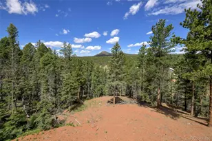 100 Wildcat Creek Dr, Florissant, CO 80816 - Photo 3