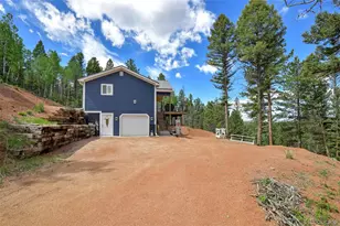 100 Wildcat Creek Dr, Florissant, CO 80816 - Photo 31