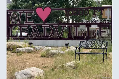 629 E 8th Street, Leadville, CO 80461 - Photo 9