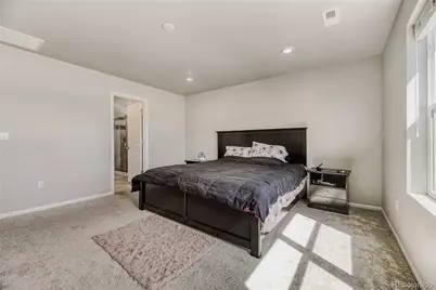 3686 Sandy Vista Lane, Castle Rock, CO 80104 - Photo 17