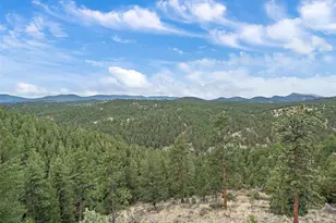 35005 Whispering Pines Trail, Pine, CO 80470 - Photo 23