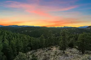 35005 Whispering Pines Trail, Pine, CO 80470 - Photo 49