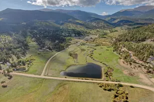 255 Saddlestring Rd, Bailey, CO 80421 - Photo 35
