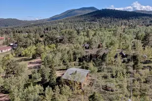 255 Saddlestring Rd, Bailey, CO 80421 - Photo 41