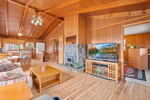 255 Saddlestring Rd, Bailey, CO 80421 - Photo 5