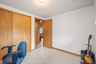 255 Saddlestring Rd, Bailey, CO 80421 - Photo 15