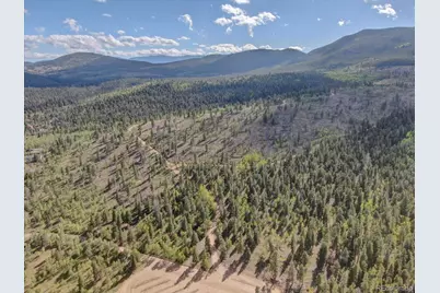 255 Saddlestring Road, Bailey, CO 80421 - Photo 31