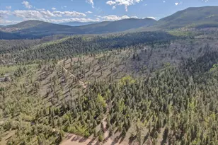 255 Saddlestring Rd, Bailey, CO 80421 - Photo 31