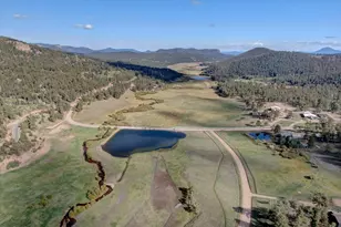 255 Saddlestring Rd, Bailey, CO 80421 - Photo 37