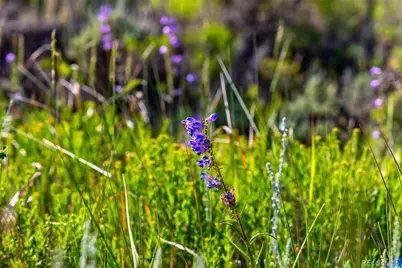 755 Gcr 22317, Kremmling, CO 80459 - Photo 13