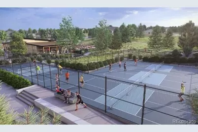 17142 W 91st Lane, Arvada, CO 80007 - Photo 33