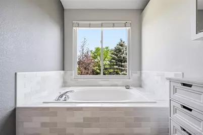 9205 Madras Court, Highlands Ranch, CO 80130 - Photo 29