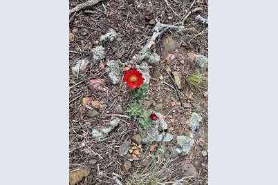 12550 9, Canon City, CO 81212 - Photo 15