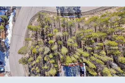 12 Imogene Circle, Leadville, CO 80461 - Photo 5