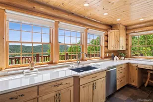 15690 Cochise Trail, Pine, CO 80470 - Photo 3