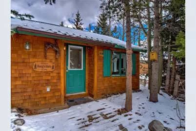 46 Singleton Road, Alma, CO 80420 - Photo 49