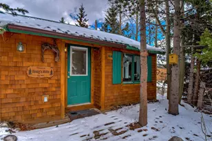 46 Singleton Rd, Alma, CO 80420 - Photo 49