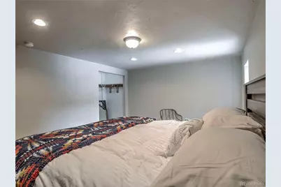 46 Singleton Road, Alma, CO 80420 - Photo 37
